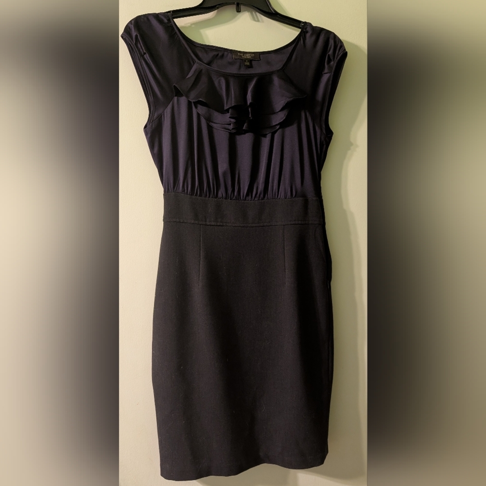 The Limited Navy Ruffle Mini Dress